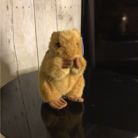 chipmunk - Picture 3 of 4